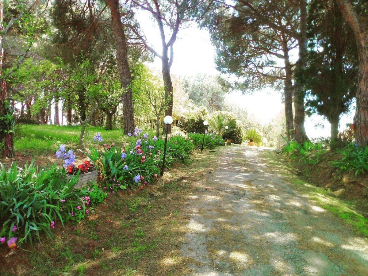 Roma - Quarto Del Cuore Villa Exteriör bild